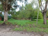 WhatsApp Image 2026-04-08 at 10.19.17 (2)