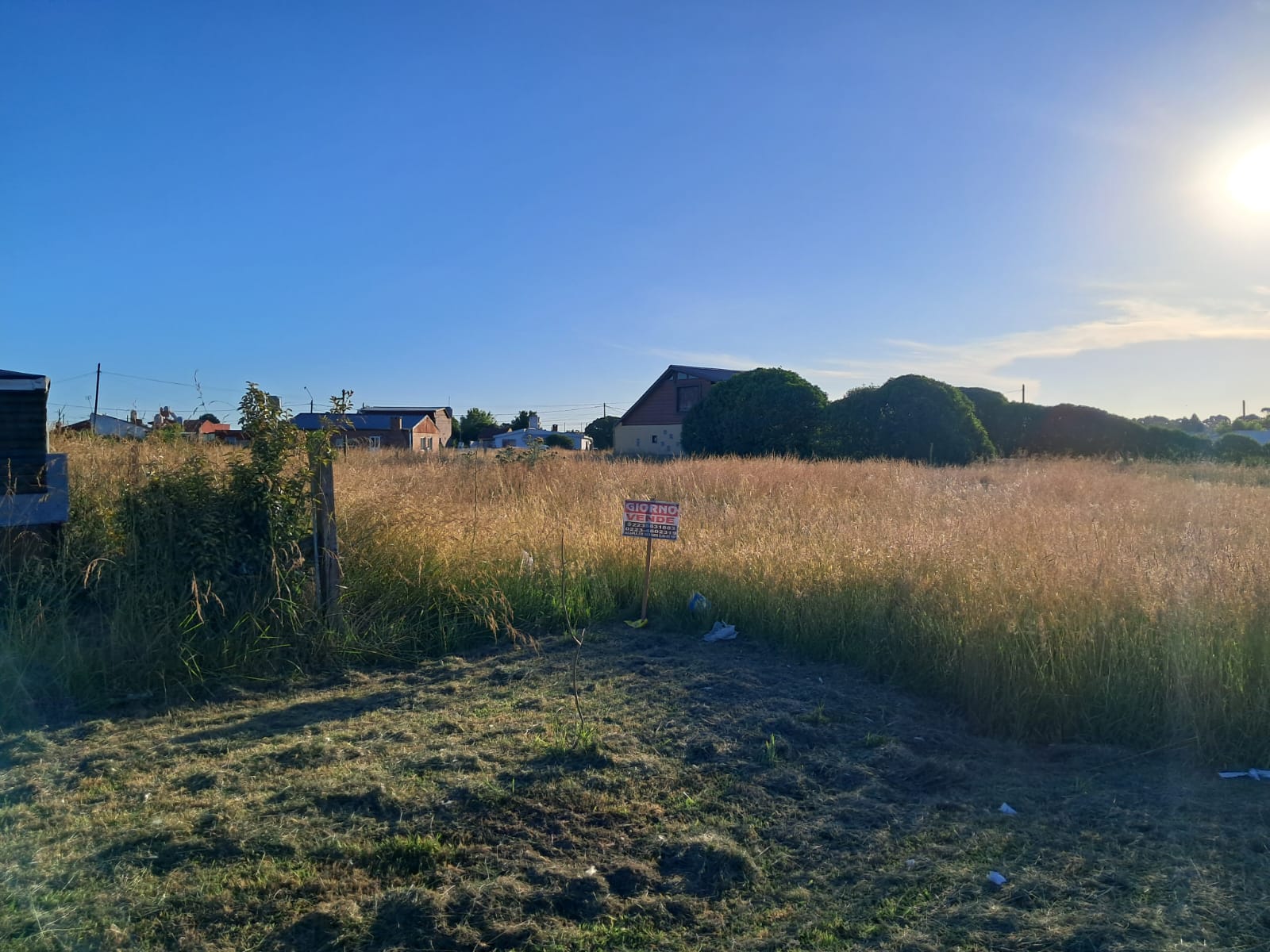 WhatsApp Image 2025-12-02 at 18.51.41