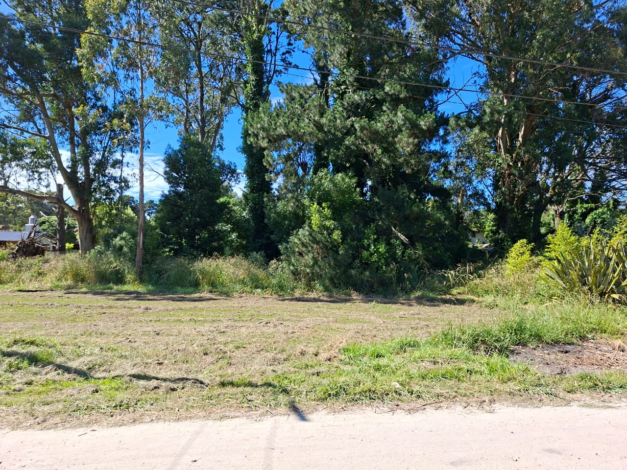 WhatsApp Image 2025-11-22 at 09.47.36 (3)