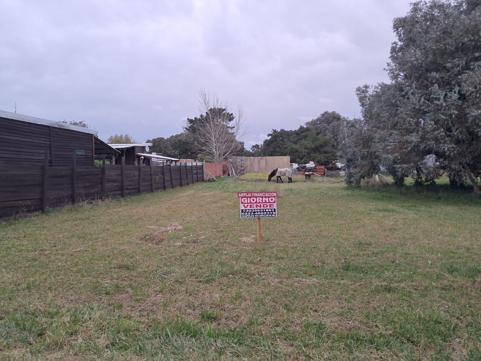 la calandria 1