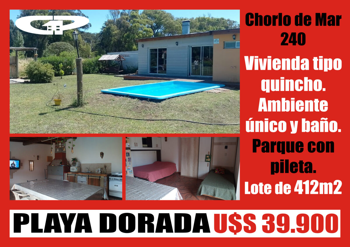 Chorlo de Mar 240